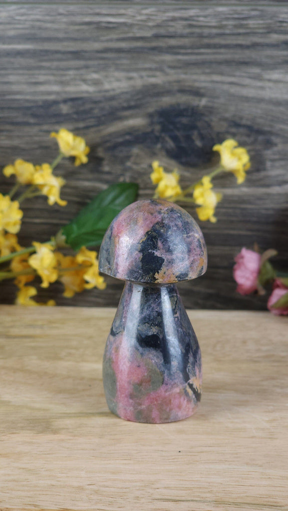 Adorable Rhodonite High Quality Crystal Mushrooms Hand Carved Crystal Figurine Cottagecore Crystals Cottage Core Mushroom Mushy Stone