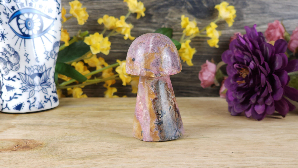 Crystals, Stones, & Gems Adorable Rhodonite High Quality Crystal Mushrooms Hand Carved Crystal Figurine Cottagecore Crystals Cottage Core Mushroom Mushy Stone