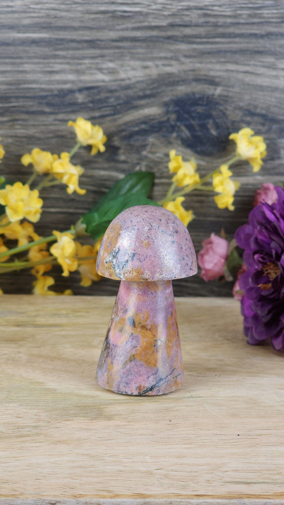 Adorable Rhodonite High Quality Crystal Mushrooms Hand Carved Crystal Figurine Cottagecore Crystals Cottage Core Mushroom Mushy Stone