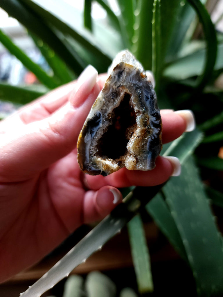 Crystals, Stones, & Gems Agate Geode Raw Druzy