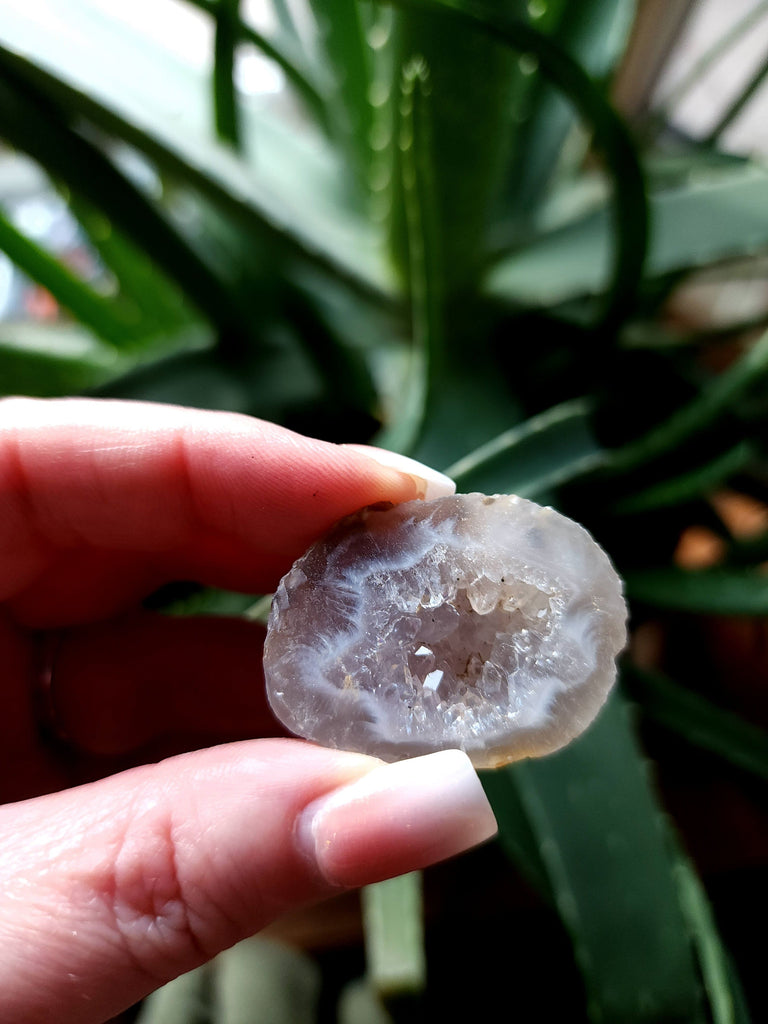 Crystals, Stones, & Gems Agate Geode Raw Druzy