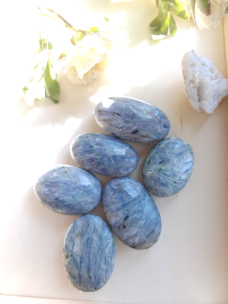 Crystals, Stones, & Gems Blue Kyanite Palm Stones, Medium