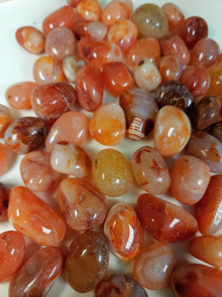 Crystals, Stones, & Gems Carnelian/ Red Agate Tumbled Stones - Small