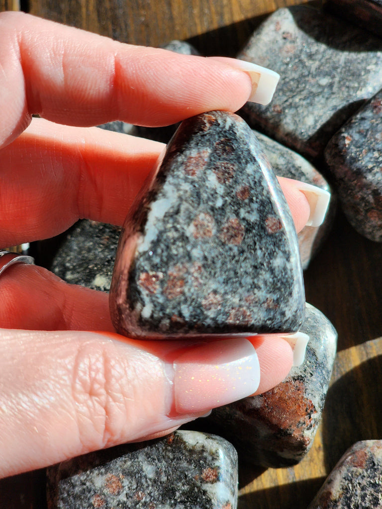 Crystals, Stones, & Gems Dragon Blood Jasper Tumbled