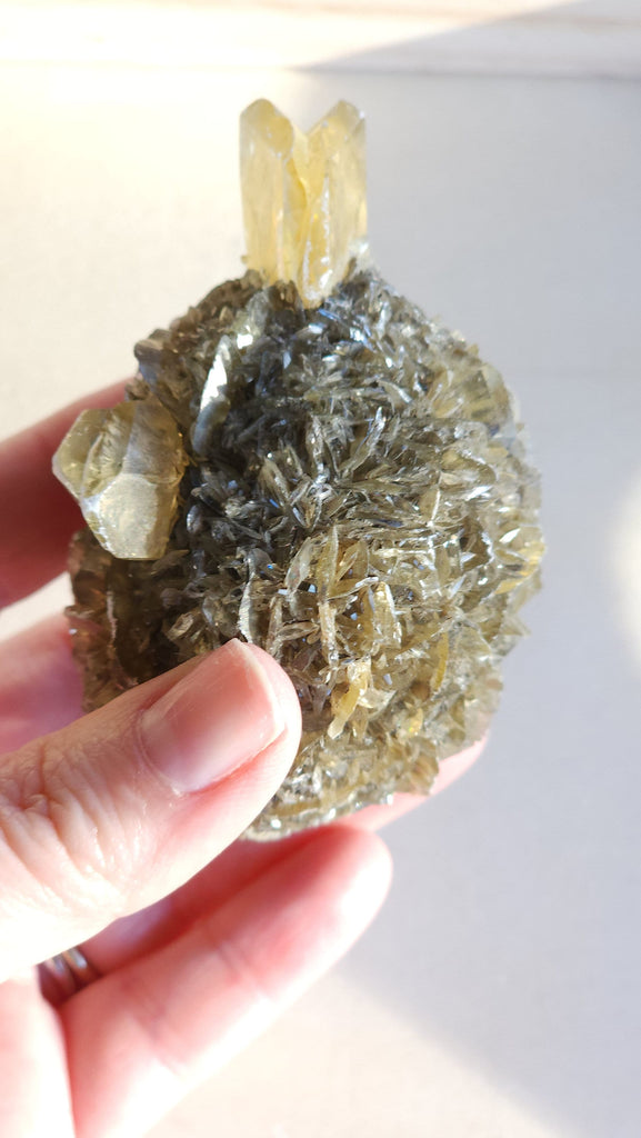 Incredible Rare Duckbill Selenite Collector Specimen | Fine Mineral Specimen | Golden Selenite Gypsum