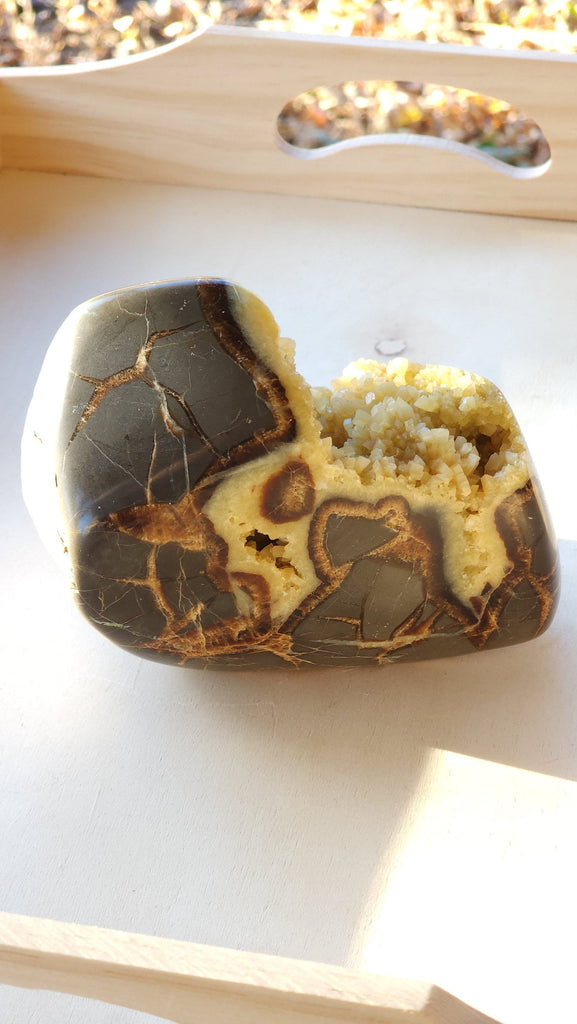 Incredible Septarian Egg Dogtooth Calcite Crystal Geode