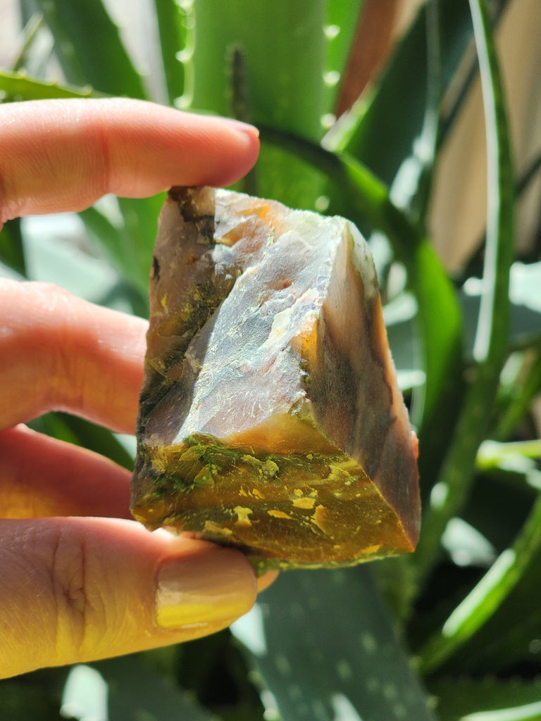 Crystals, Stones, & Gems Ocean Jasper Raw Crystal Stones