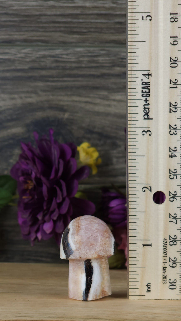 Crystals, Stones, & Gems Pink Aragonite Small Mushroom Carved Stone | Pink Tchazar Crystal - Rare!