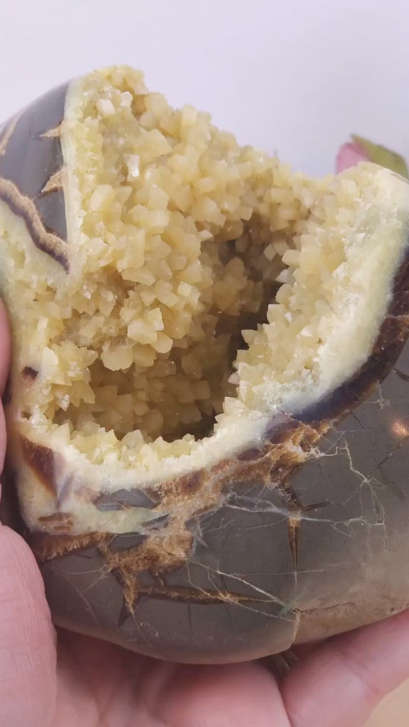Incredible Septarian Egg Dogtooth Calcite Crystal Geode