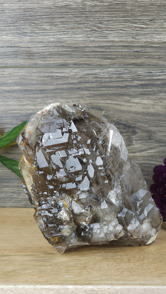 Crystals, Stones, & Gems Stunning High Quality Natural Smoky Quartz Crystal Elestial Multiple Terminations Alligator Quartz