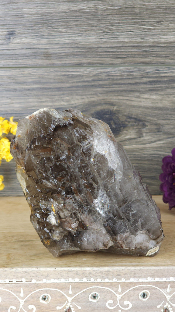 Crystals, Stones, & Gems Stunning High Quality Natural Smoky Quartz Crystal Elestial Multiple Terminations Alligator Quartz