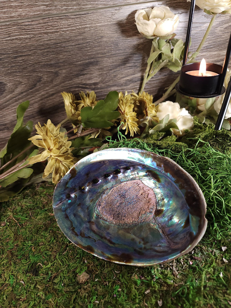 Abalone Shell Smudge and Altar Herb Burner