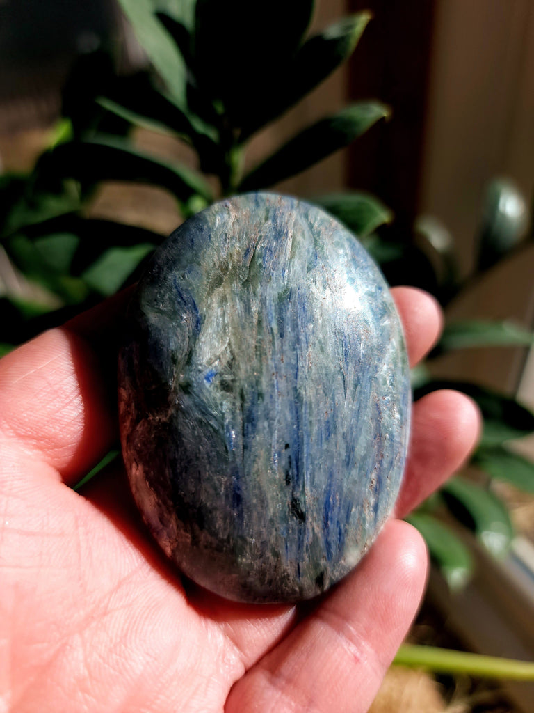 Crystals, Stones, & Gems Blue Kyanite Palm Stones, Medium