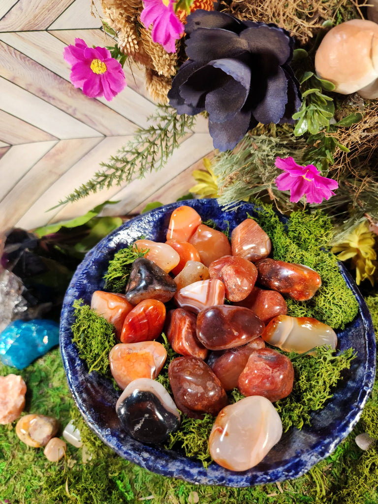 Crystals, Stones, & Gems Carnelian/ Red Agate Tumbled Stones