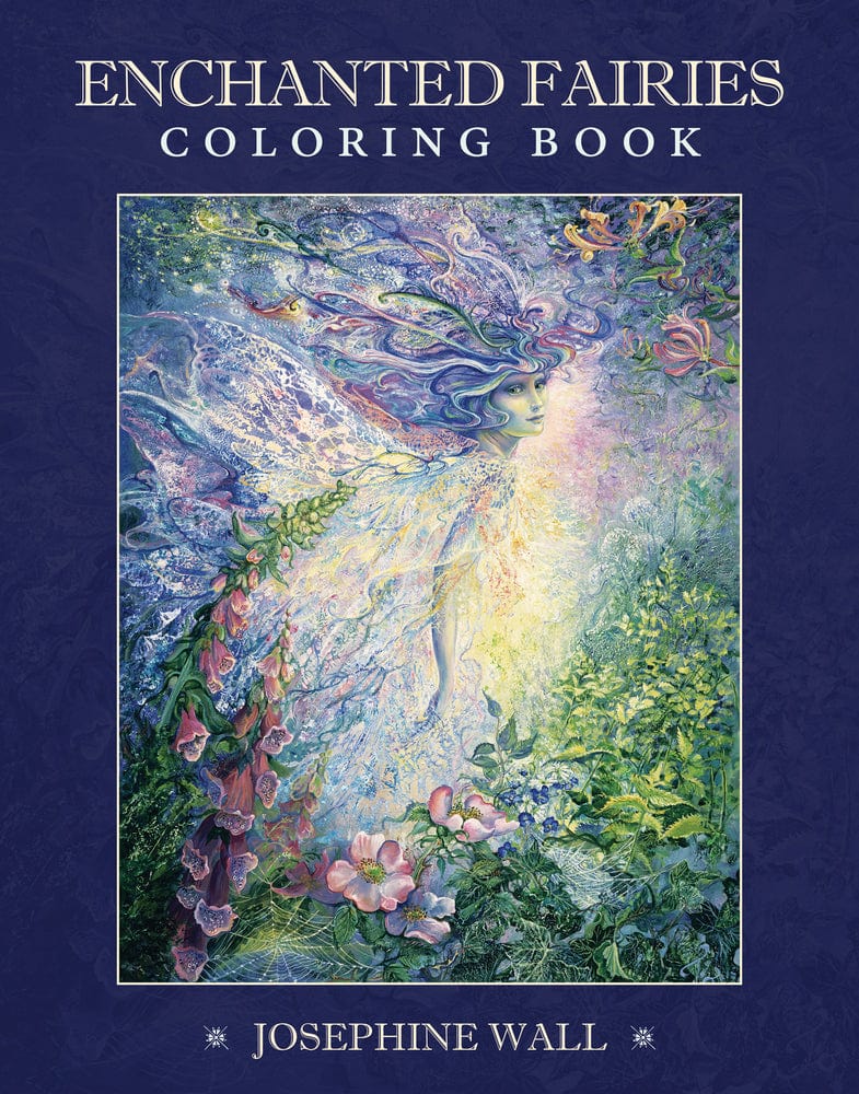 Book Enchanted Fairies Coloring Book