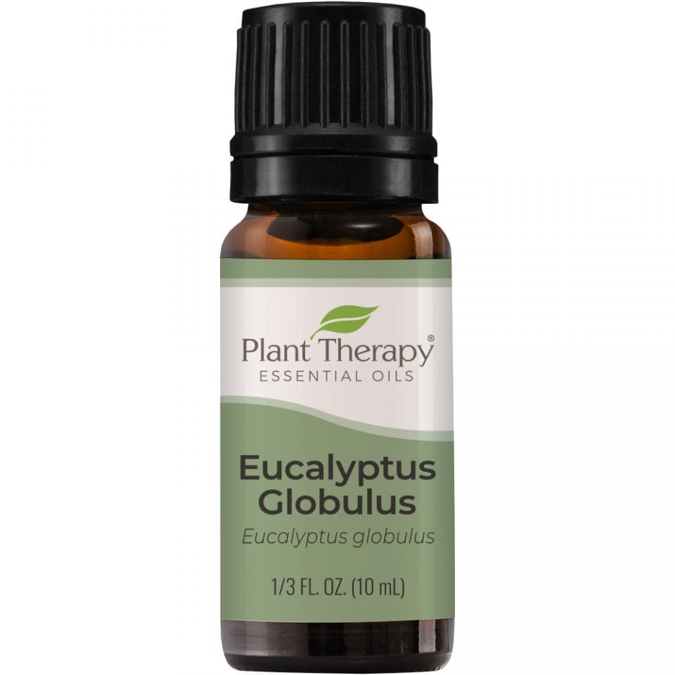 Eucalyptus Globulus Essential Oil  Single - 10ml