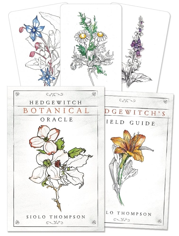 one tarot card Hedgewitch Botanical Oracle