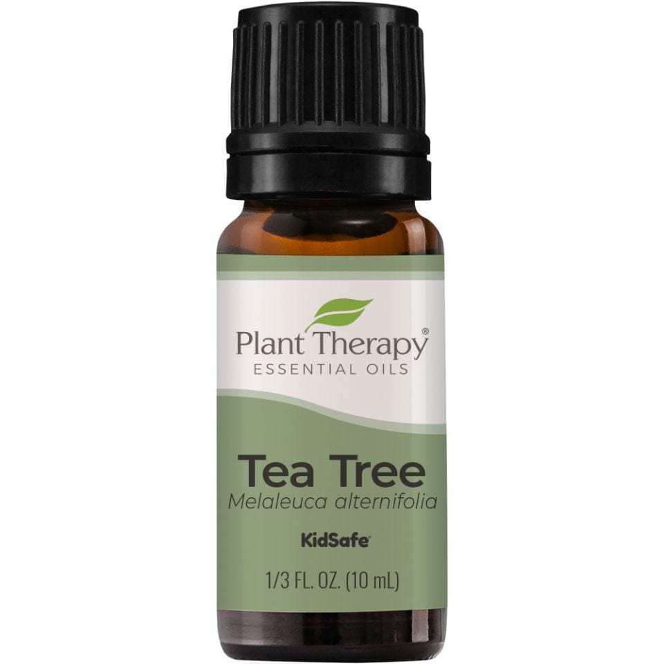 Tea Tree Essential Oil  Single - 10ml