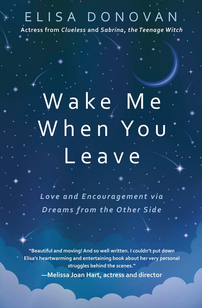 Book Wake Me When You Leave